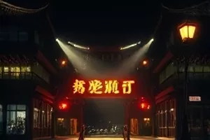 向北三百公里封面：夜路车灯照亮的路面延伸线